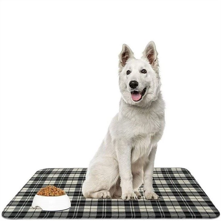 pet-door-mat58331970437